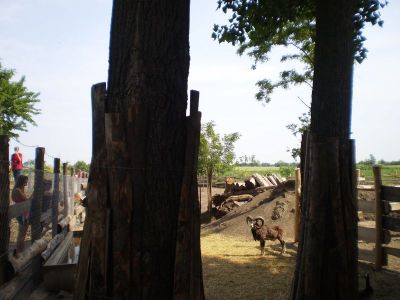 Kattints ide a teljes kép megtekintéséhez