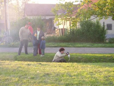 Kattints ide a teljes kép megtekintéséhez
